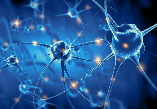 Updated List of 5 Best Neurologists & Neuro Hospitals in Patna (2026)