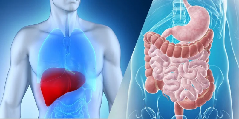 Gastroenterology & Hepatobiliary Surgery